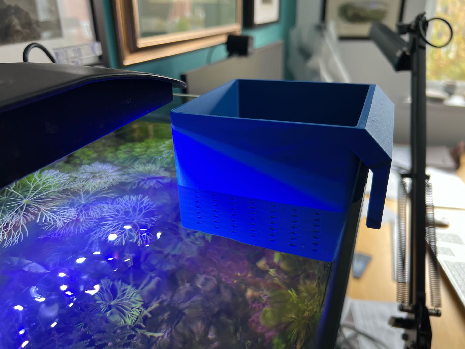 Troca de agua com aquario